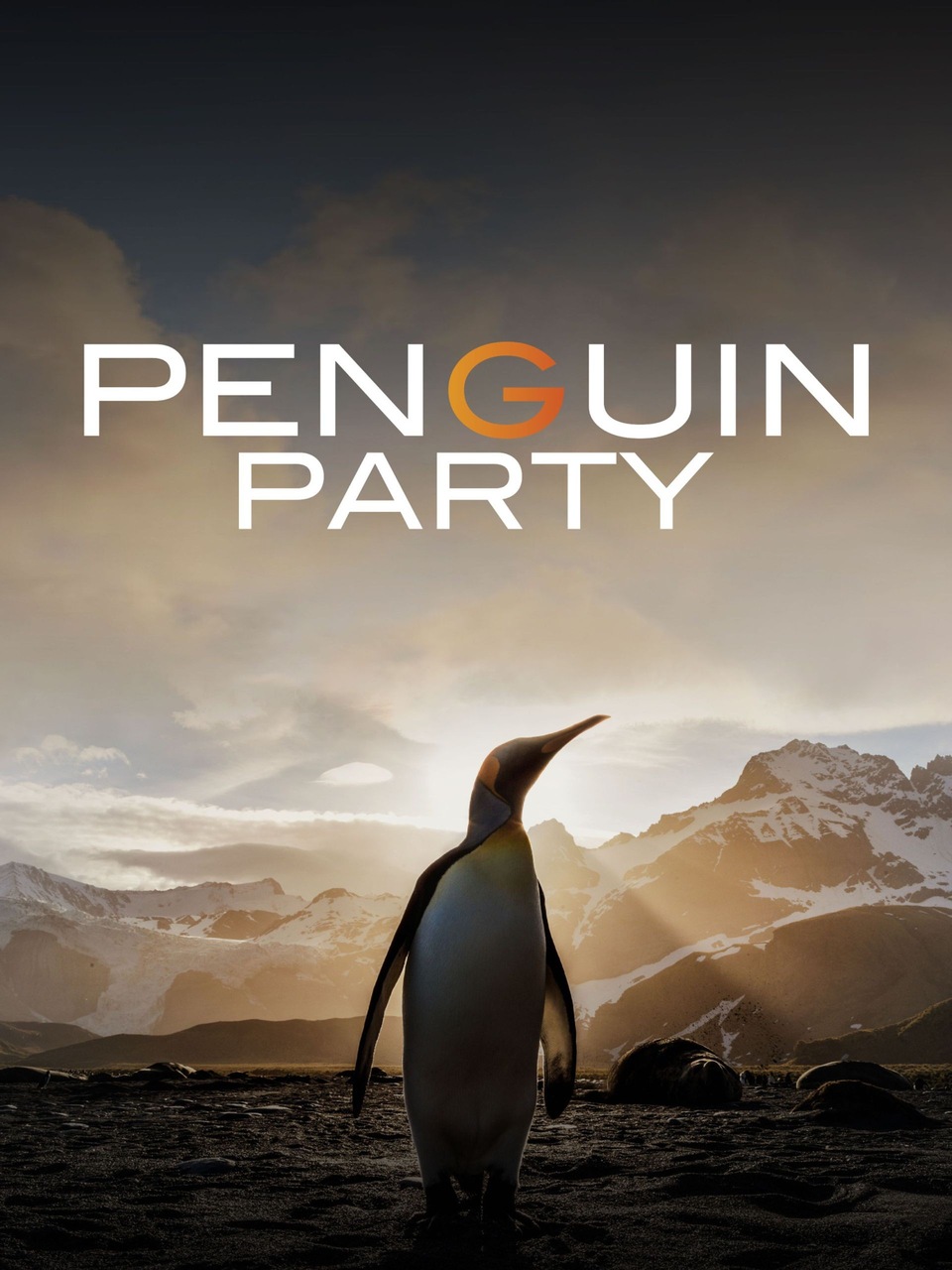 Documentary V říši tučňáků