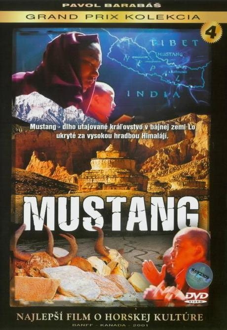 Documentary Mustang