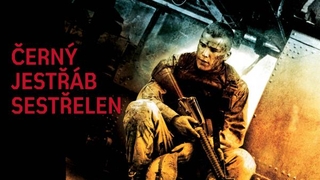 Černý jestřáb sestřelen
