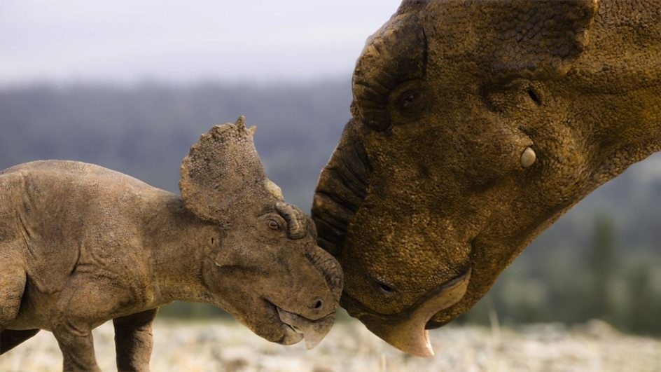 BBC Earth