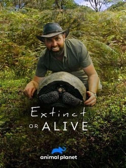 Найкращі американські документальні фільми про містику з року 2018 онлайн