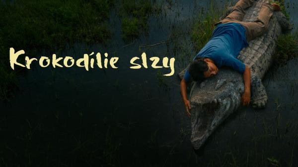 CROCODILE TEARS