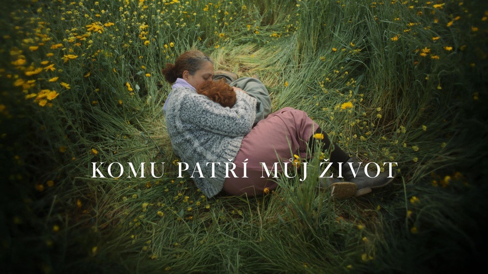 Najlepšie nórske nové filmy z roku 2025 online