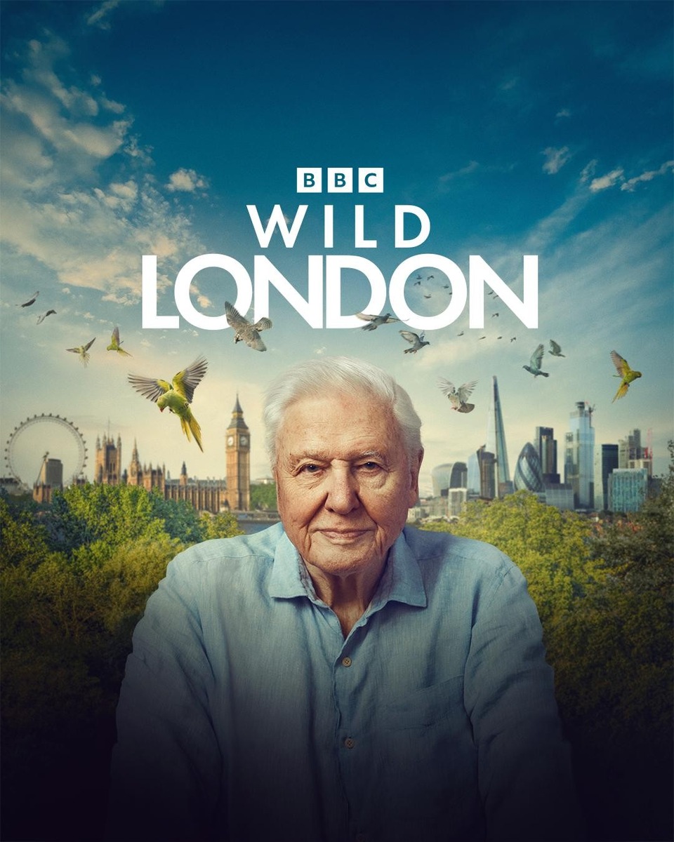 BBC Earth