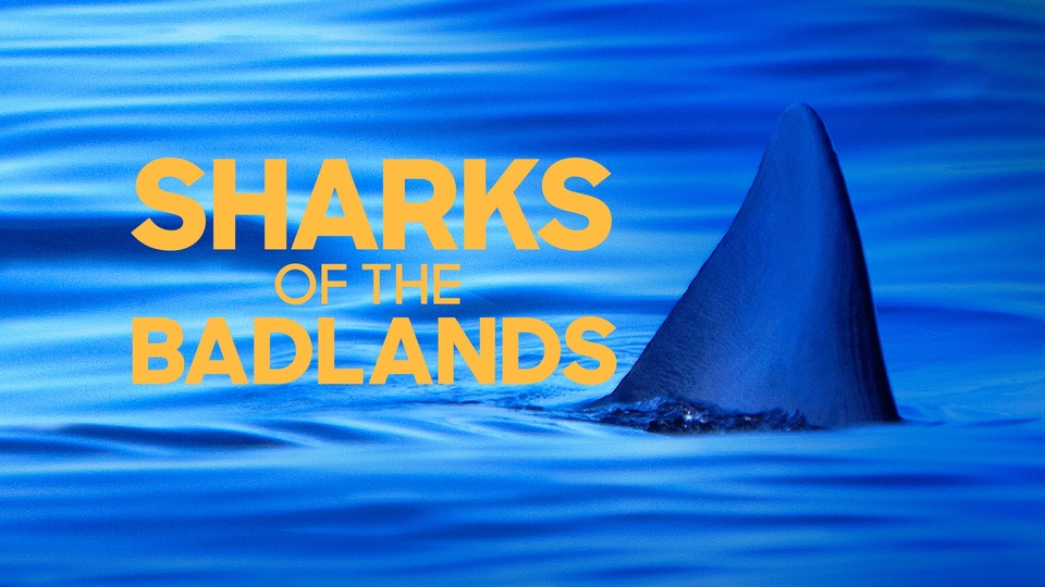 Dokument Sharks of the Badlands