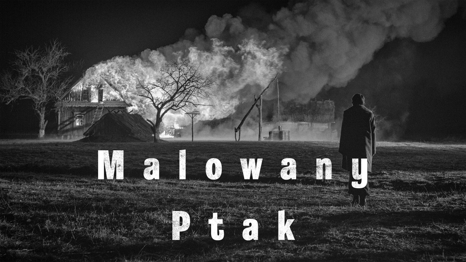Film Nabarvené ptáče