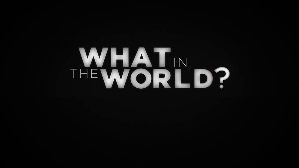 Documentary What in the World