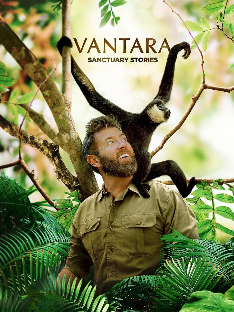 Discovery Channel