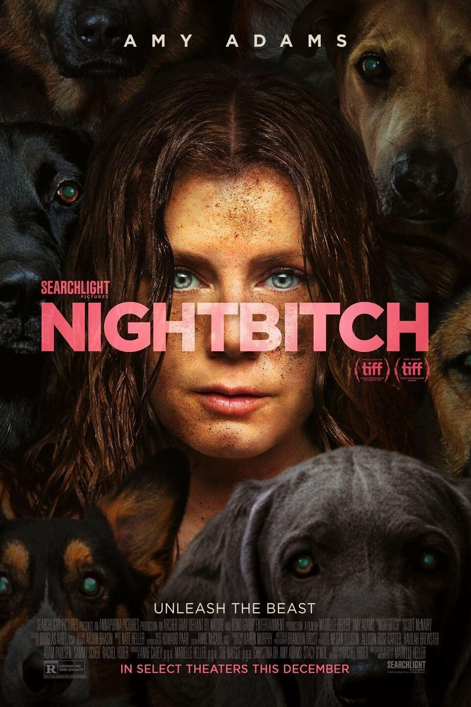 Film Nightbitch