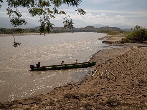 1103 dokumentov z roku 2010-2019 online