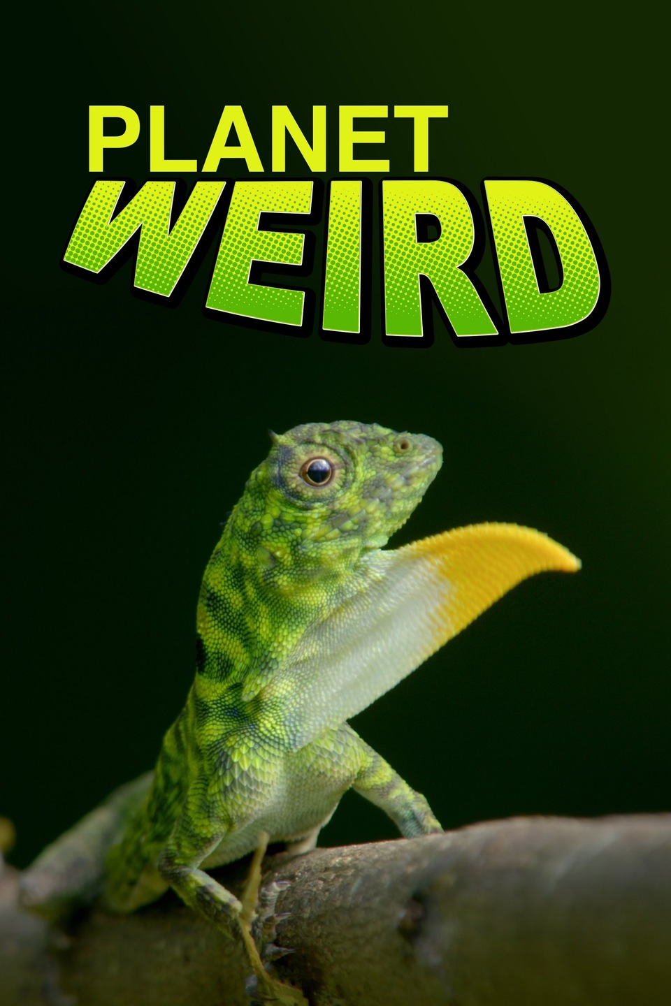 The best australian new nature from year 2024 online