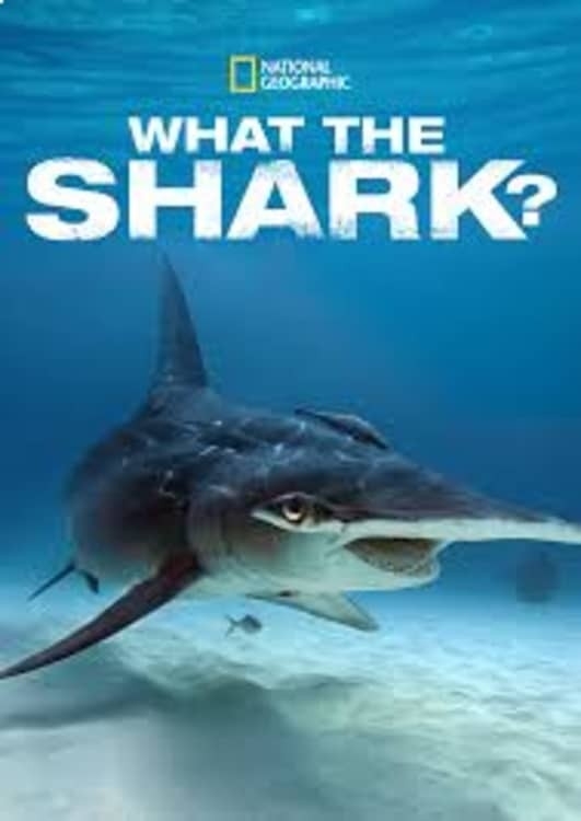 The best african documents from year 2020 online