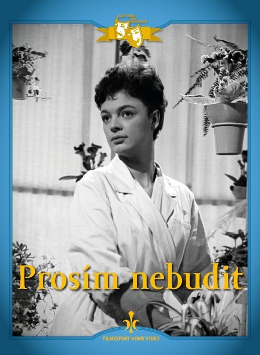 Film Prosim, nebudit