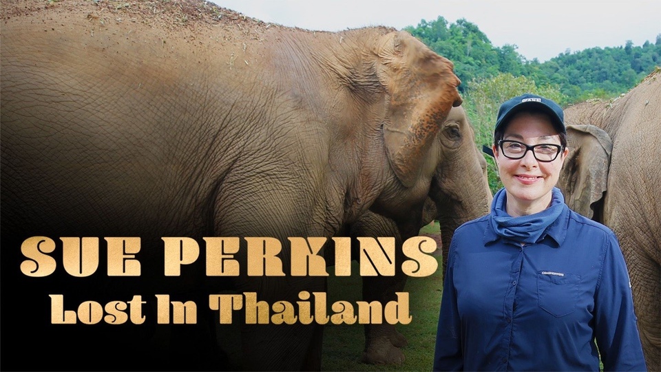 Najlepsze nowe cywilizacje z roku 2024 online