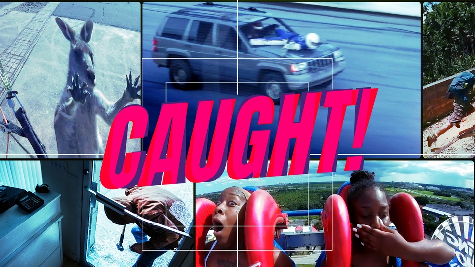 Серія Caught!