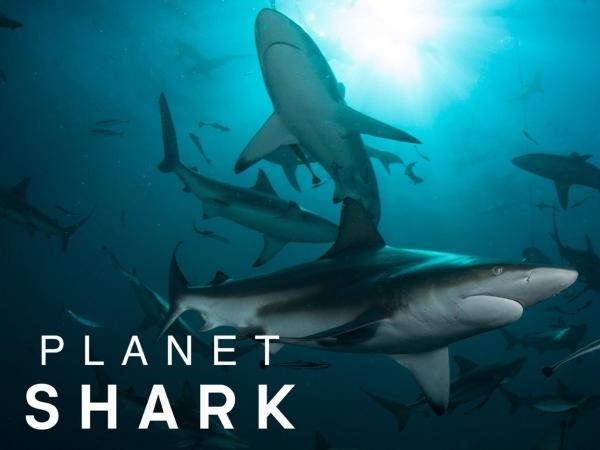 Planet Shark