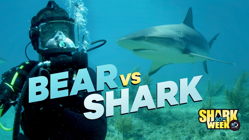 Documentary Bear vs. Shark