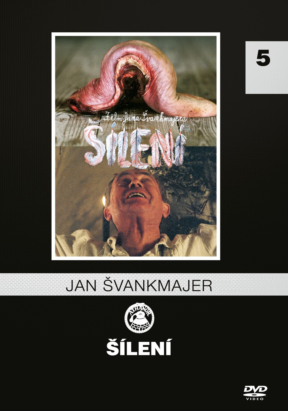 Film Šílení