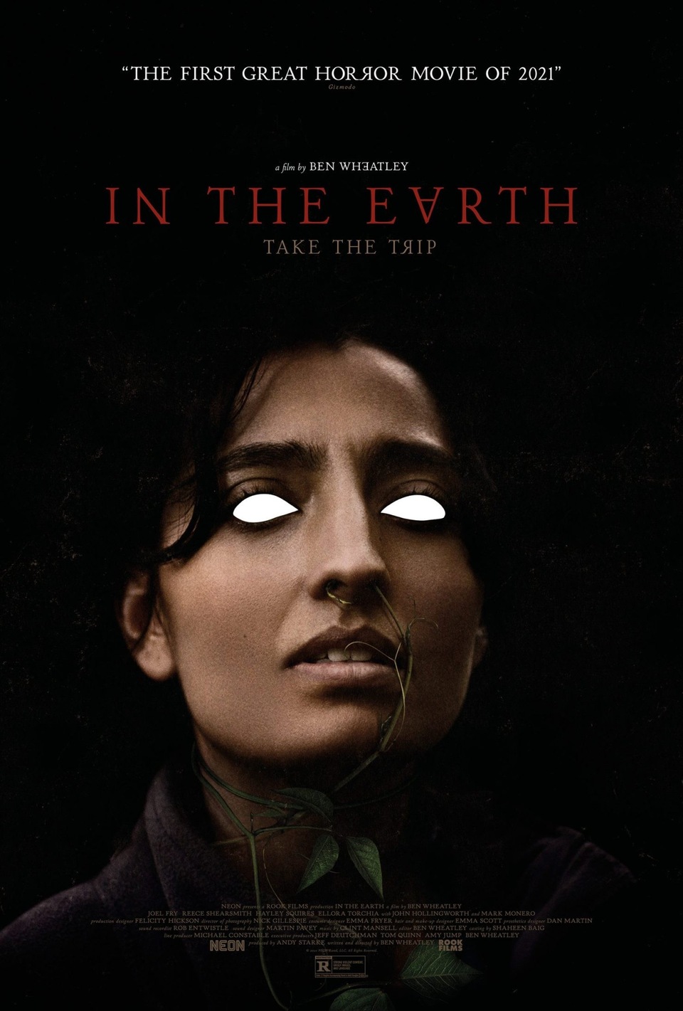 Film V zemi