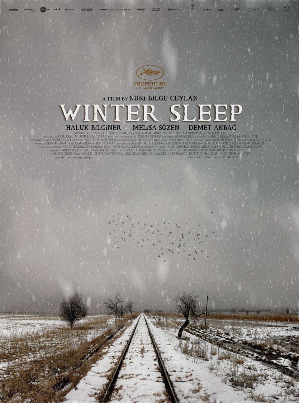 Film Zimní spánek