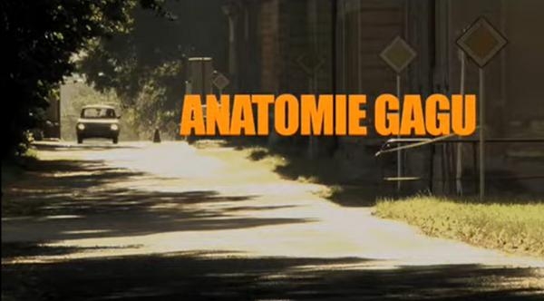 Anatomie gagu