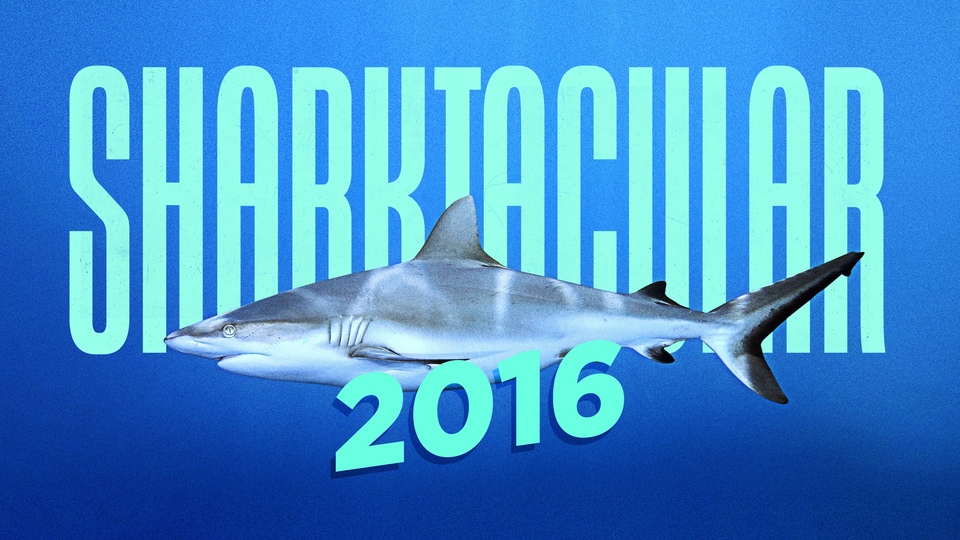 Документ Shark Week Sharktacular 2016
