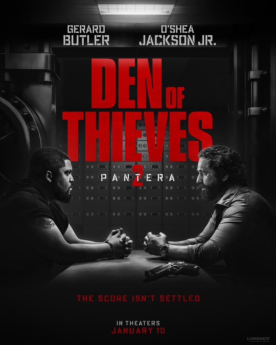 Film Dokonalá loupež 2