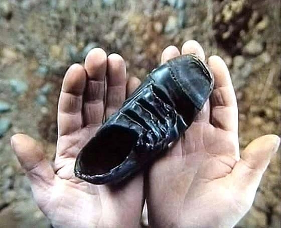 Film Botička