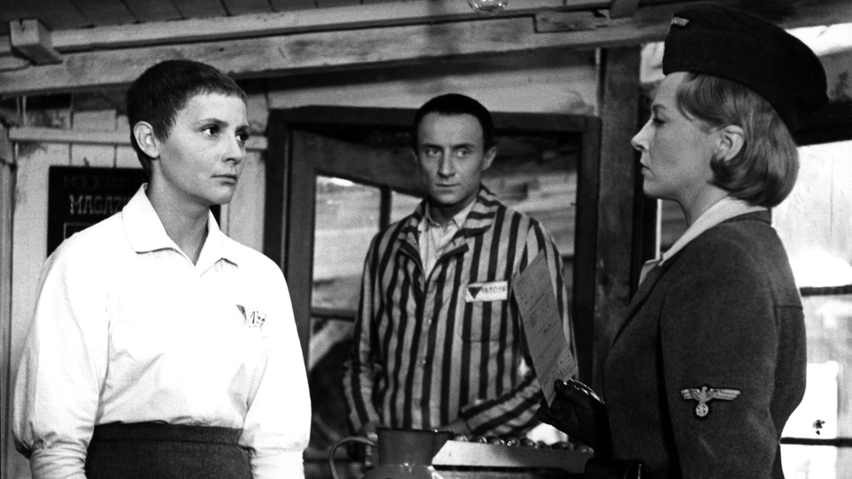 The best polish movies from year 1963 online