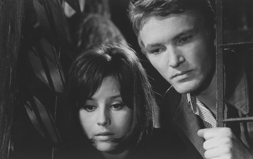 Film Námestie Svätej Alžbety