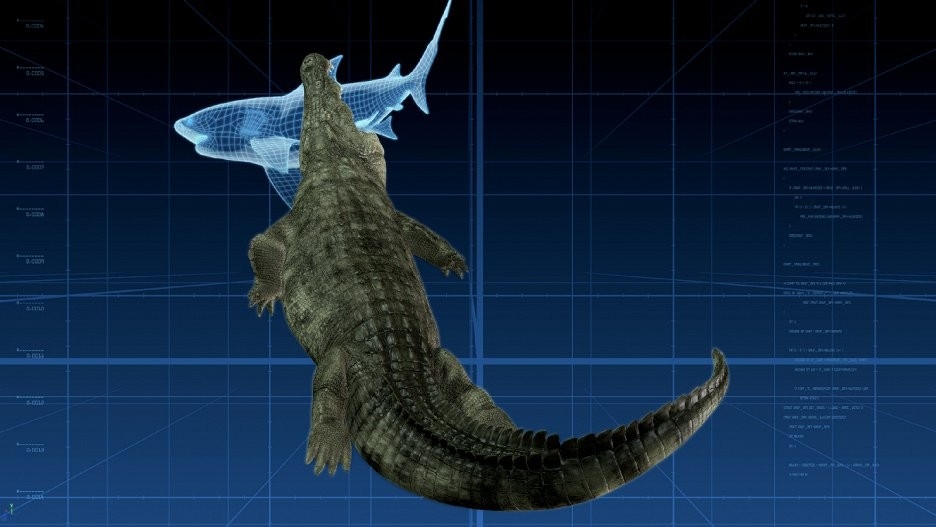 Dokument Krokodyl kontra rekin