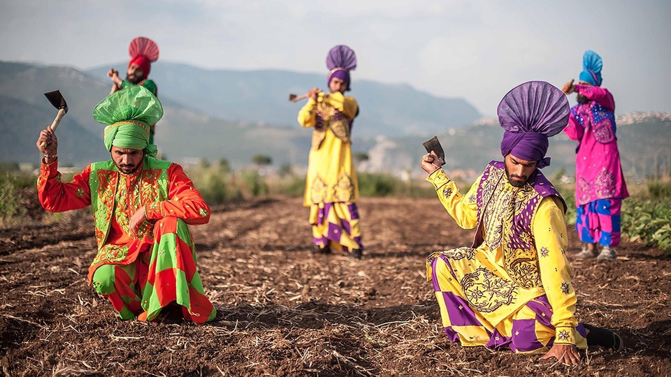Documentary The Harvest