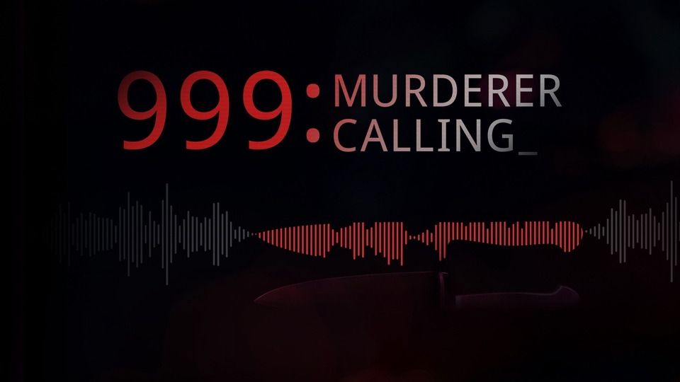 Документ 999 Murderer Calling