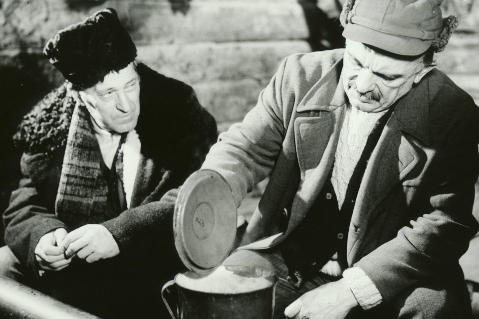 Film Syn človeka