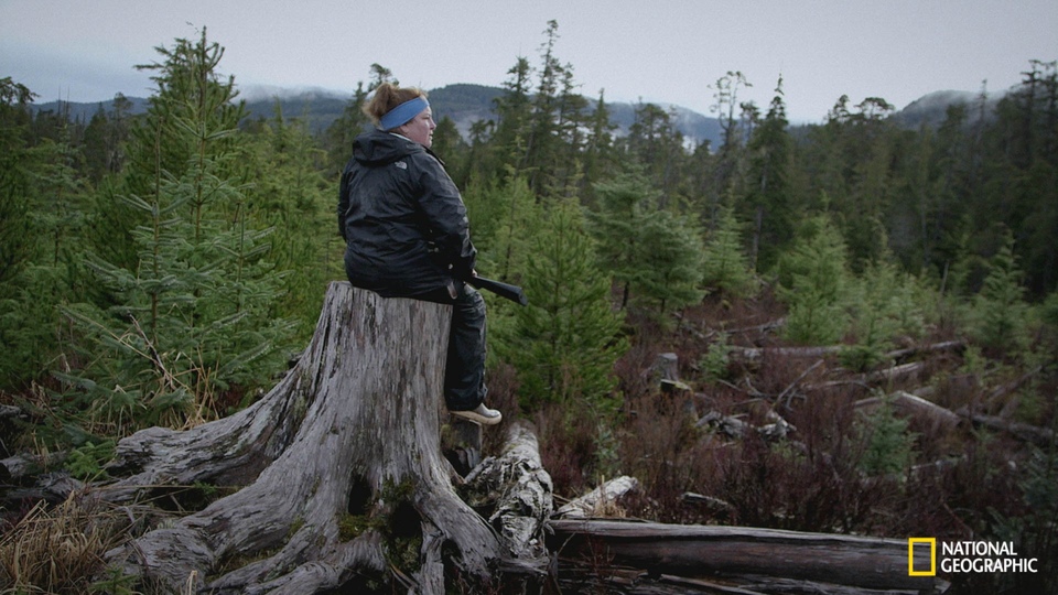 Серія Otok bezakonja, Aljaska: Kompilacija