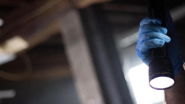 Nestali dječaci okruga Bucks