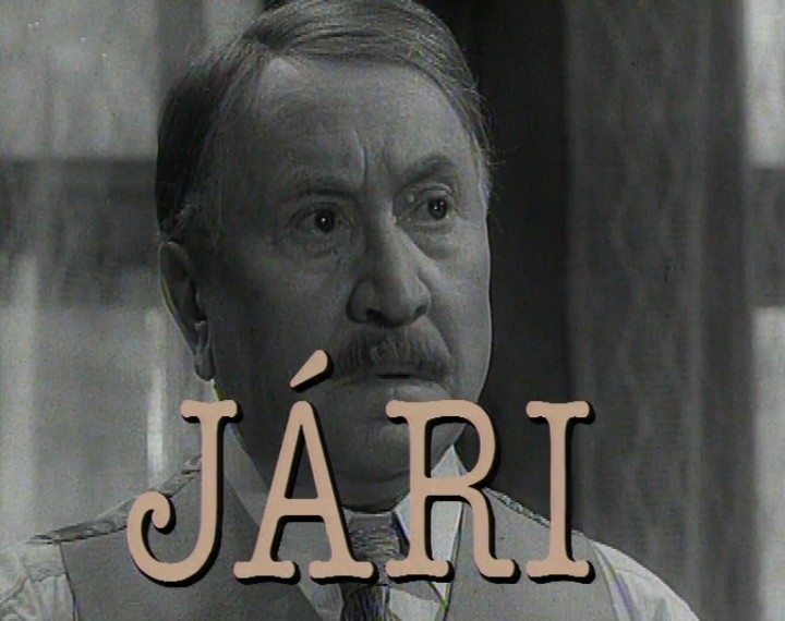 Documentary Jári