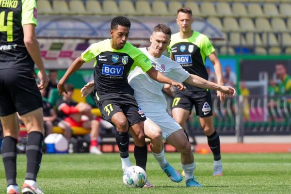 Полісся - Зоря