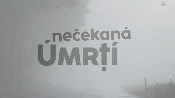 Nečekaná úmrtí - Whitney Houston
