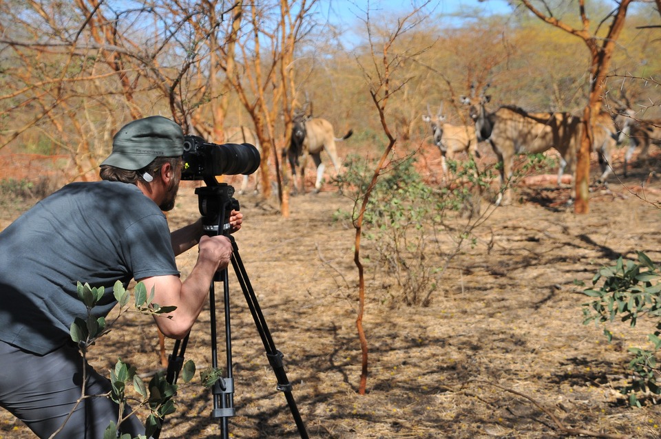 Dokument Češi zachraňují... antilopy v Senegalu
