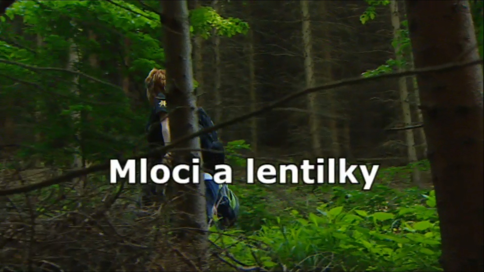 Documentary Mloci a lentilky