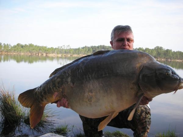 Dudi Bait - Kapr nad 30 kg