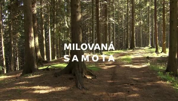 Milovaná samota