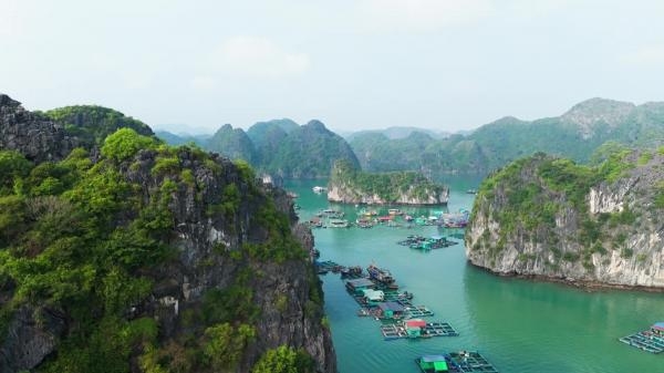 Cuisine vietnamienne: tous les phôs sont au vert