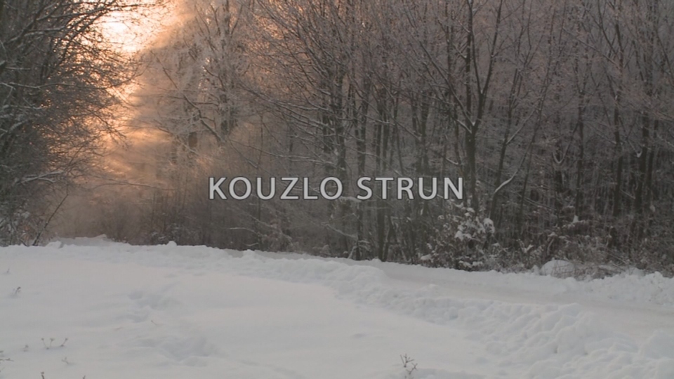 Dokument Kouzlo strun