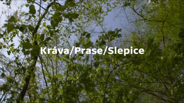 Kráva/Prase/Slepice