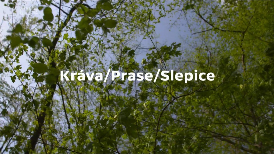 Документ Kráva/Prase/Slepice
