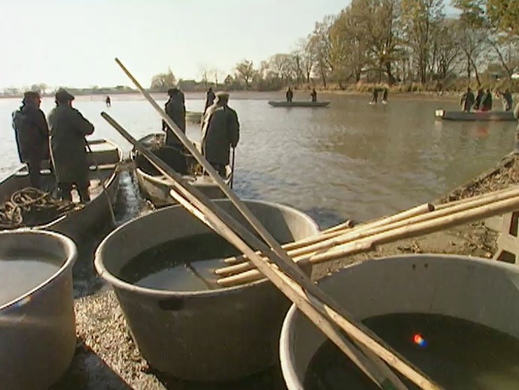 Documentary Jak se žije s českou rybou podle Jána Piroha