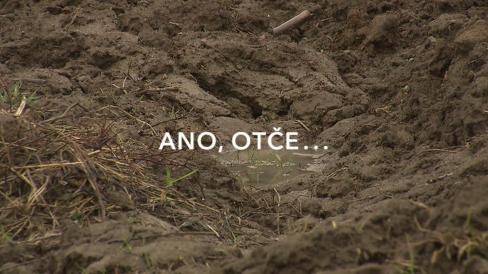 Документ Ano, Otče!