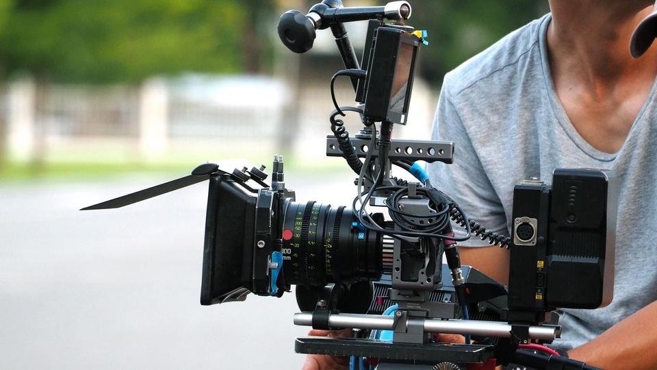 Документ Łabędź niemy